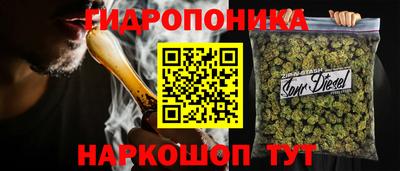 ешки Бердск