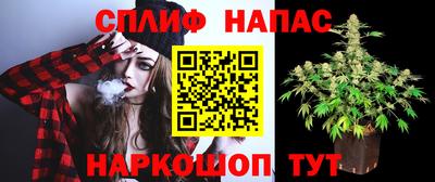 ешки Бердск